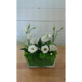 composition florale blanche