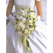 bouquet de mariée dans les mains de la mariée